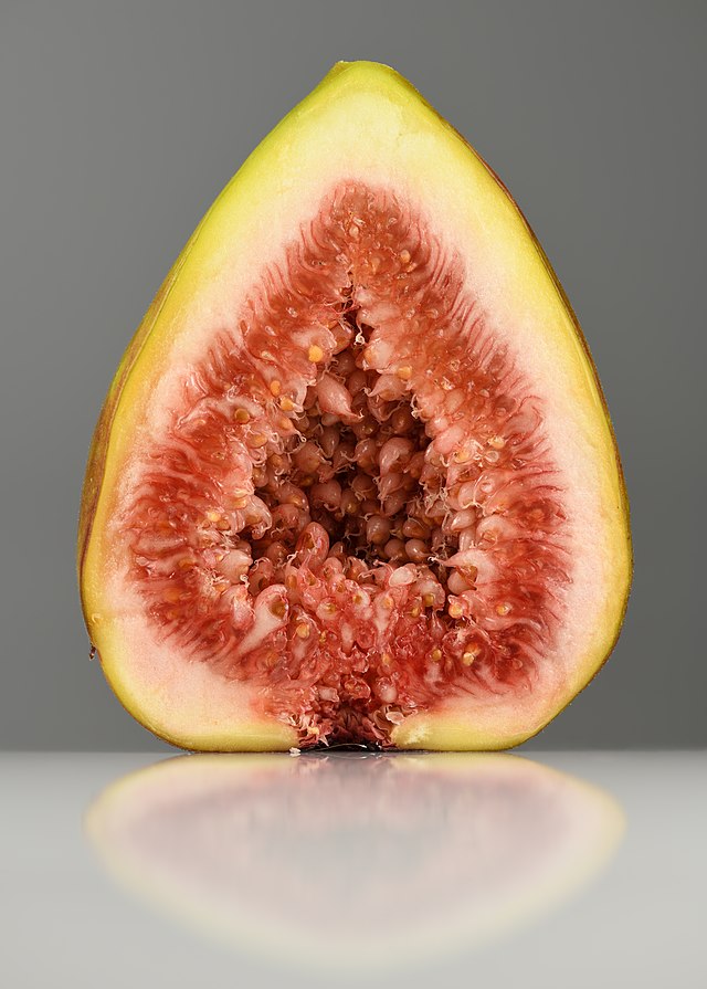 Figs