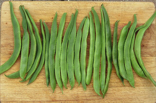 Beans (runner)