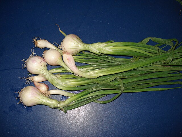 Spring Onions