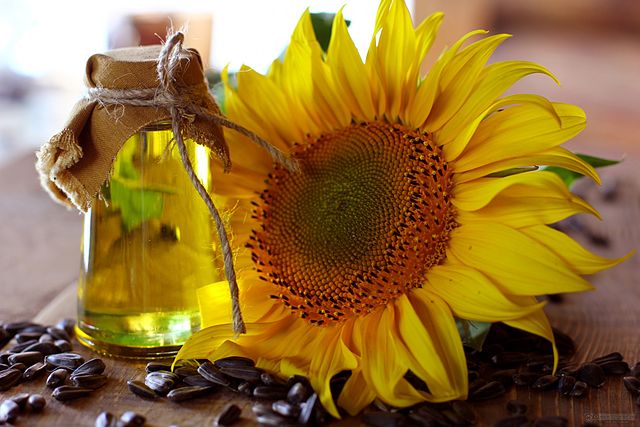Oil, Sunflower