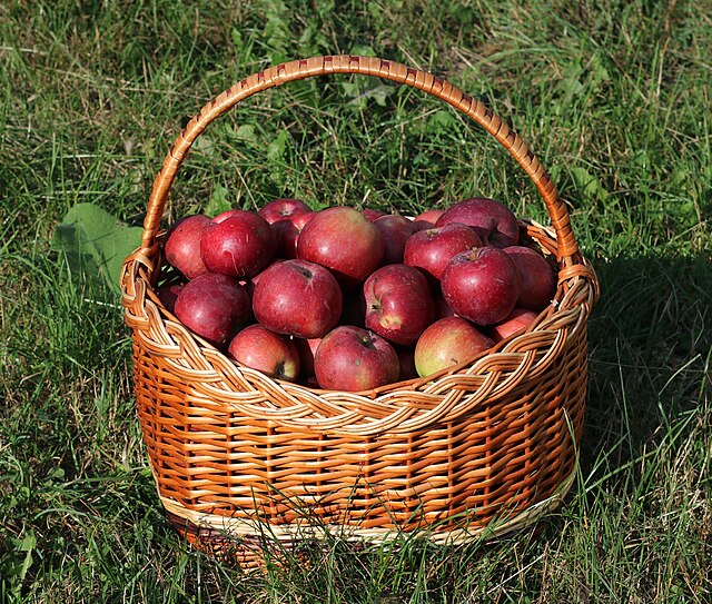 Apples