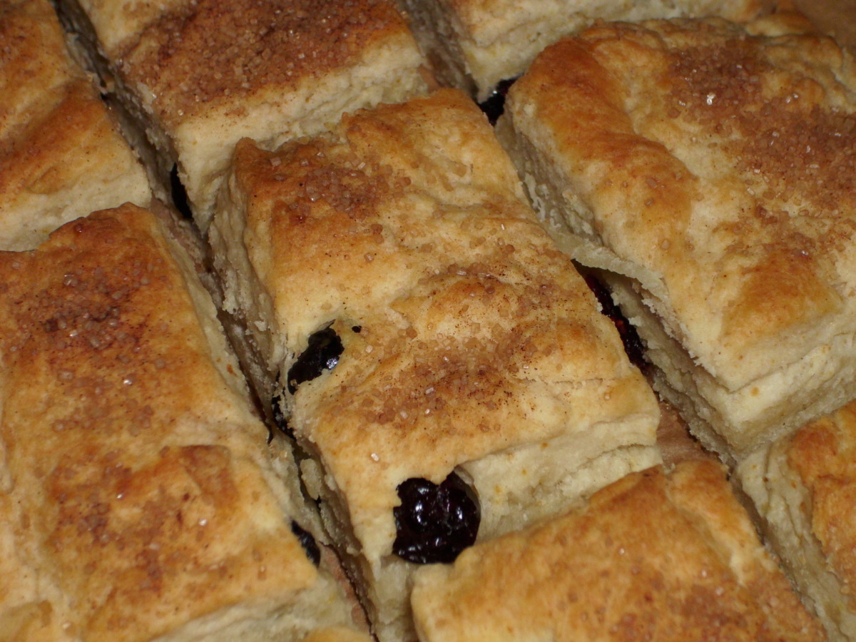 Dried Cranberry Biscuits