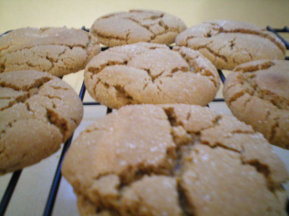 Molasses Cookies
