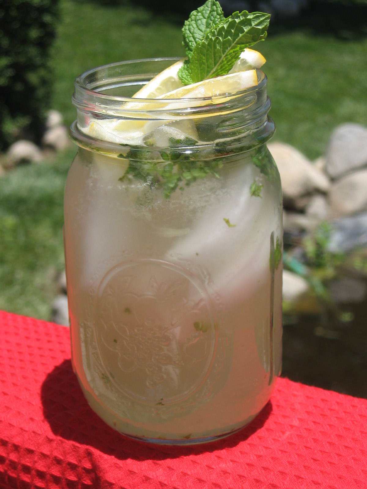 Middle Eastern Lemonade