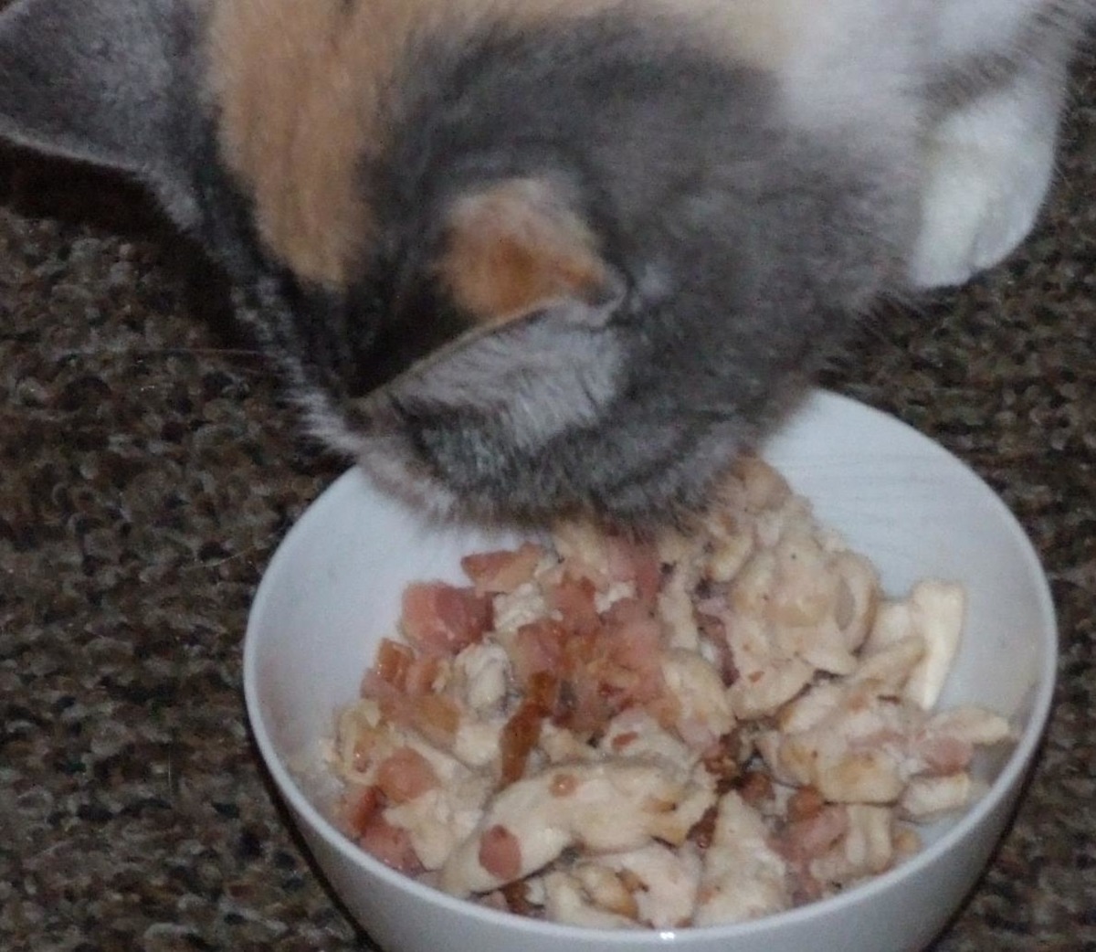 Bacon And Chicken Stir-Fry For Your Cat